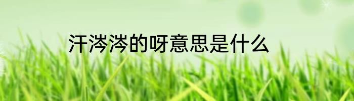 汗涔涔的呀意思是什么