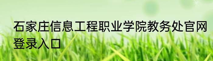 石家庄信息工程职业学院教务处官网登录入口