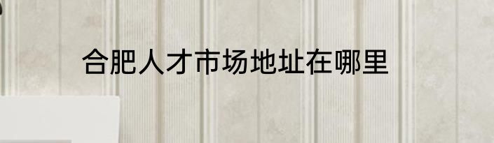 合肥人才市场地址在哪里