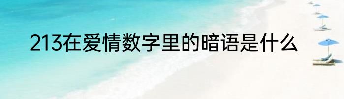 213在爱情数字里的暗语是什么