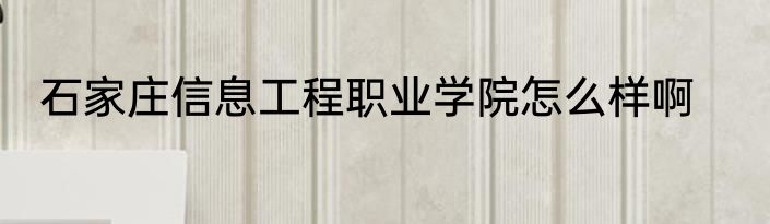 石家庄信息工程职业学院怎么样啊