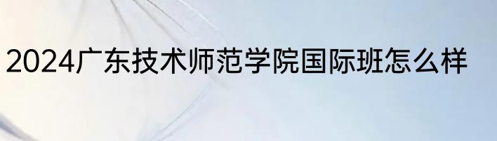 2024广东技术师范学院国际班怎么样