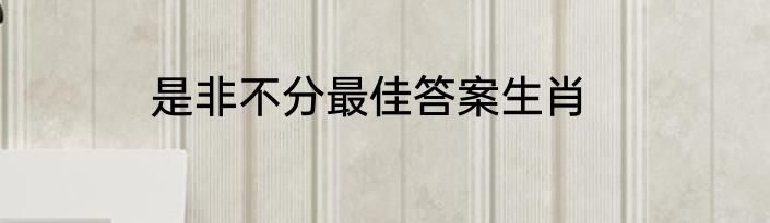 是非不分最佳答案生肖