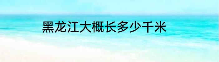 黑龙江大概长多少千米