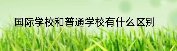 国际学校和普通学校有什么区别
