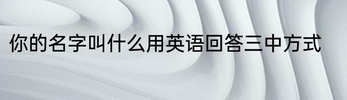 你的名字叫什么用英语回答三中方式