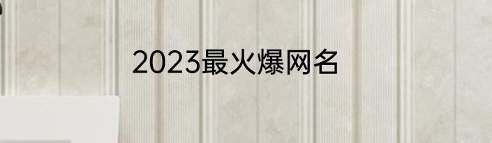 2023最火爆网名