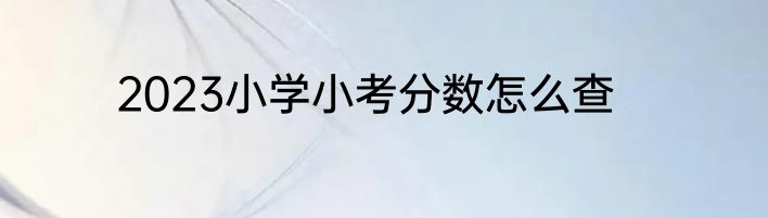 2023小学小考分数怎么查