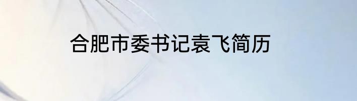 合肥市委书记袁飞简历