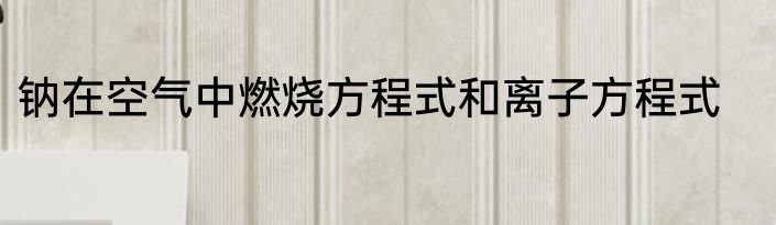 钠在空气中燃烧方程式和离子方程式