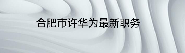 合肥市许华为最新职务