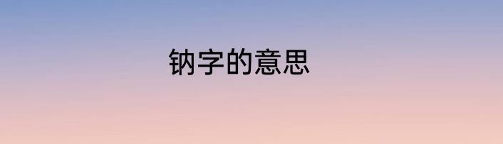 钠字的意思