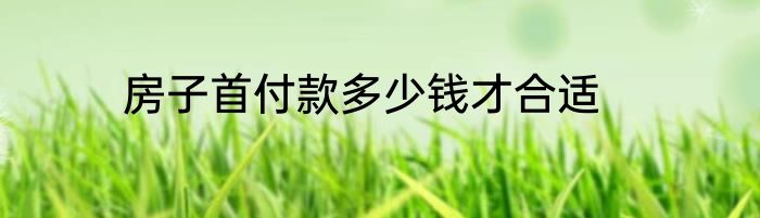房子首付款多少钱才合适