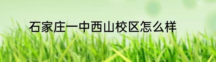 石家庄一中西山校区怎么样