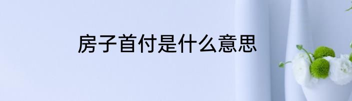 房子首付是什么意思