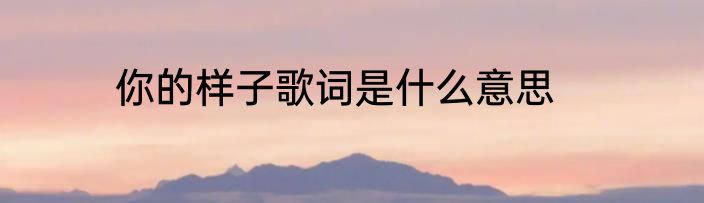 你的样子歌词是什么意思