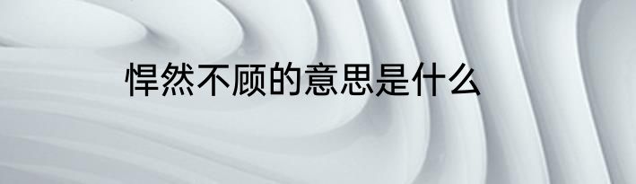 悍然不顾的意思是什么