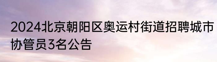 2024北京朝阳区奥运村街道招聘城市协管员3名公告