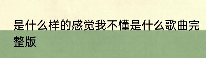 是什么样的感觉我不懂是什么歌曲完整版