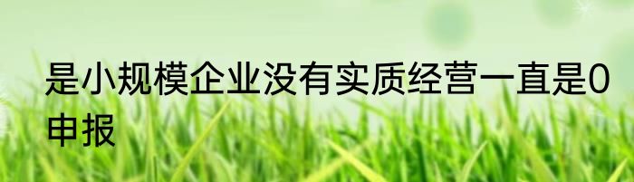 是小规模企业没有实质经营一直是0申报