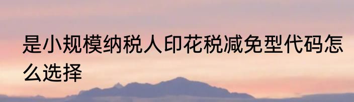 是小规模纳税人印花税减免型代码怎么选择