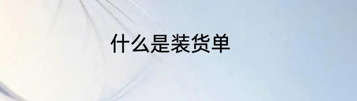 什么是装货单