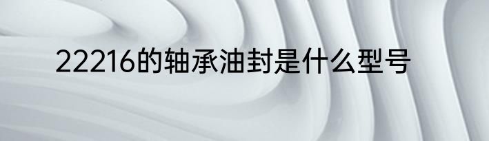 22216的轴承油封是什么型号