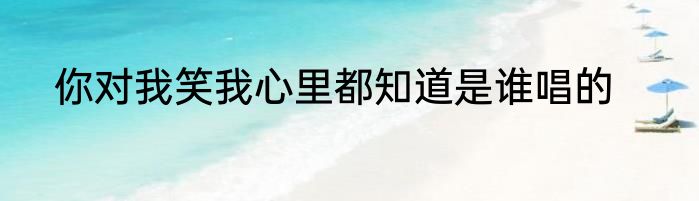 你对我笑我心里都知道是谁唱的
