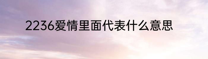 2236爱情里面代表什么意思