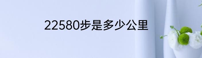 22580步是多少公里