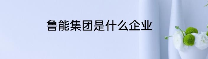 鲁能集团是什么企业