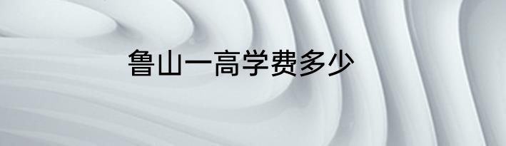 鲁山一高学费多少