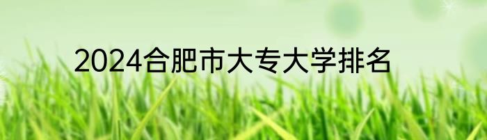 2024合肥市大专大学排名