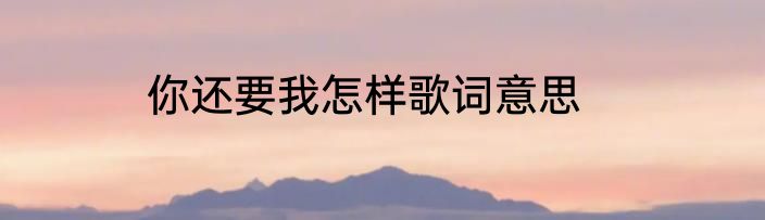 你还要我怎样歌词意思