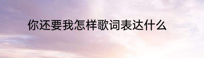 你还要我怎样歌词表达什么