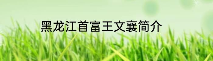 黑龙江首富王文襄简介