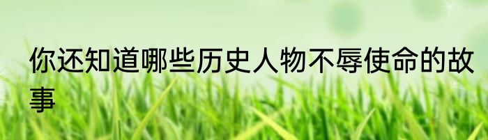 你还知道哪些历史人物不辱使命的故事