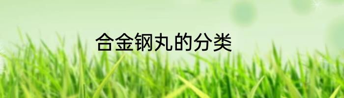 合金钢丸的分类