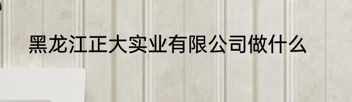 黑龙江正大实业有限公司做什么