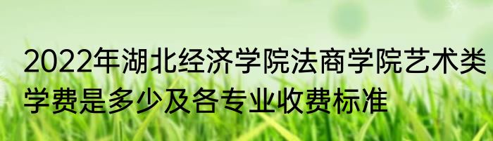 2022年湖北经济学院法商学院艺术类学费是多少及各专业收费标准
