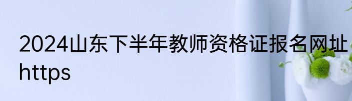 2024山东下半年教师资格证报名网址https