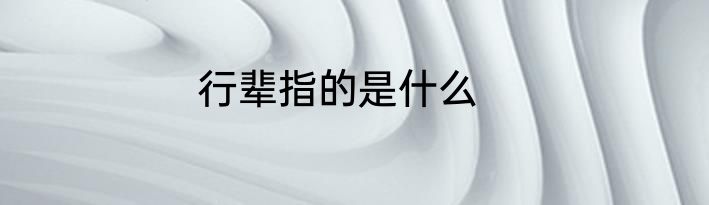 行辈指的是什么
