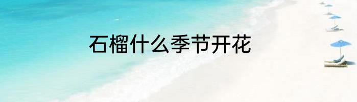 石榴什么季节开花
