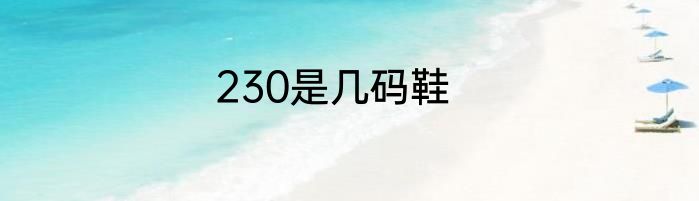 230是几码鞋
