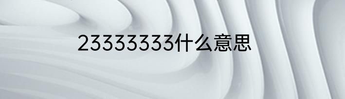 23333333什么意思