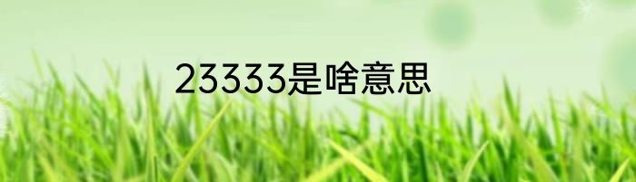 23333是啥意思