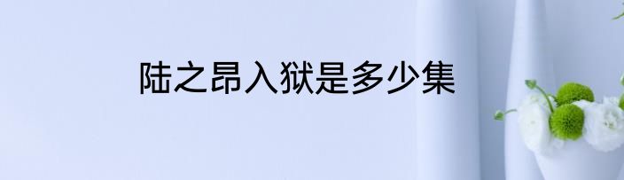 陆之昂入狱是多少集