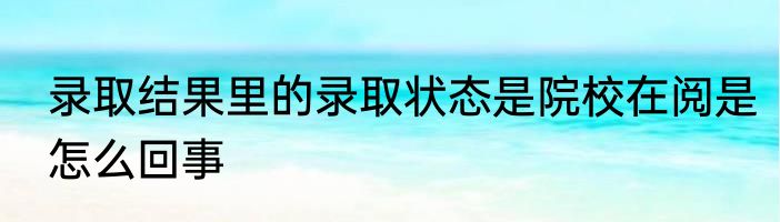 录取结果里的录取状态是院校在阅是怎么回事