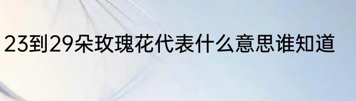 23到29朵玫瑰花代表什么意思谁知道