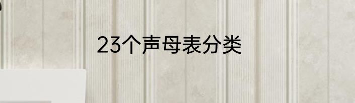 23个声母表分类